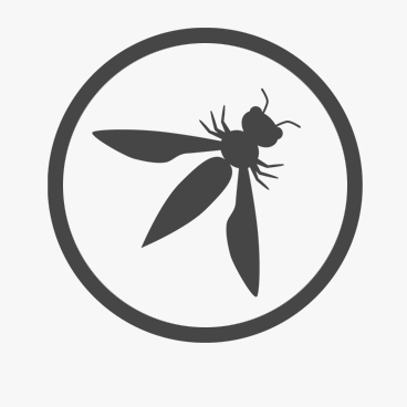OWASP